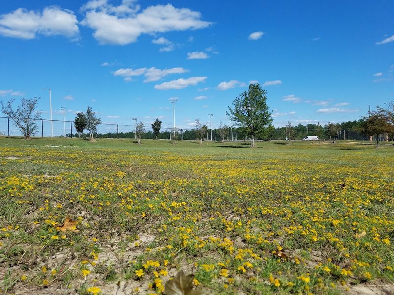 Tatum Park