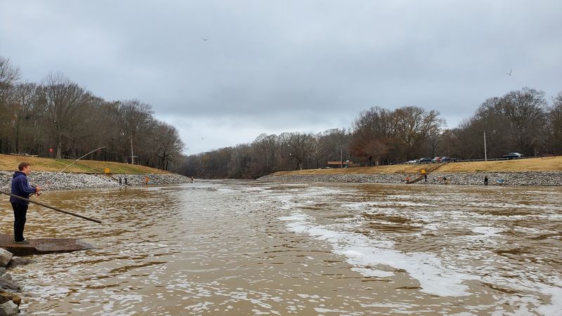 Coldwater River