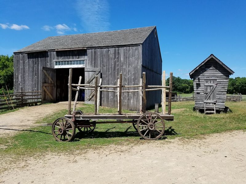 Traditional Threshing Bee Demonstrations