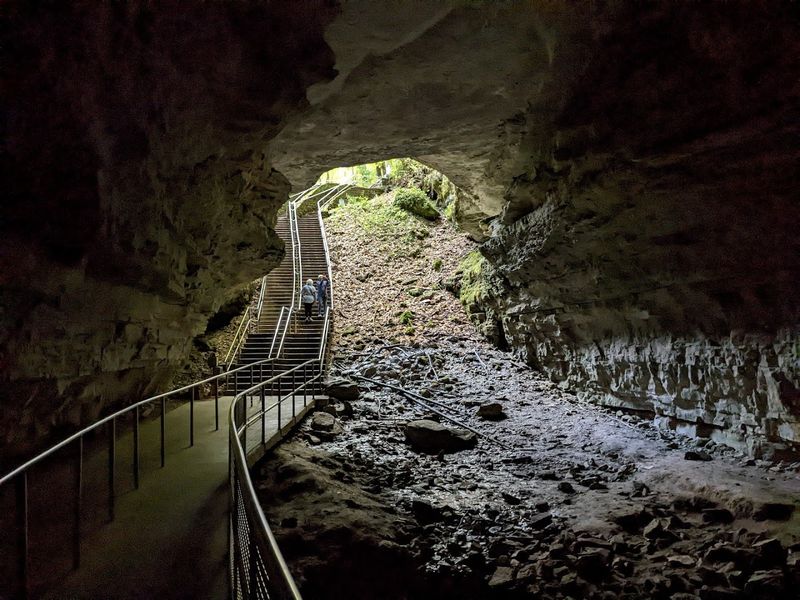 Guided Tour Options And Safety Protocols