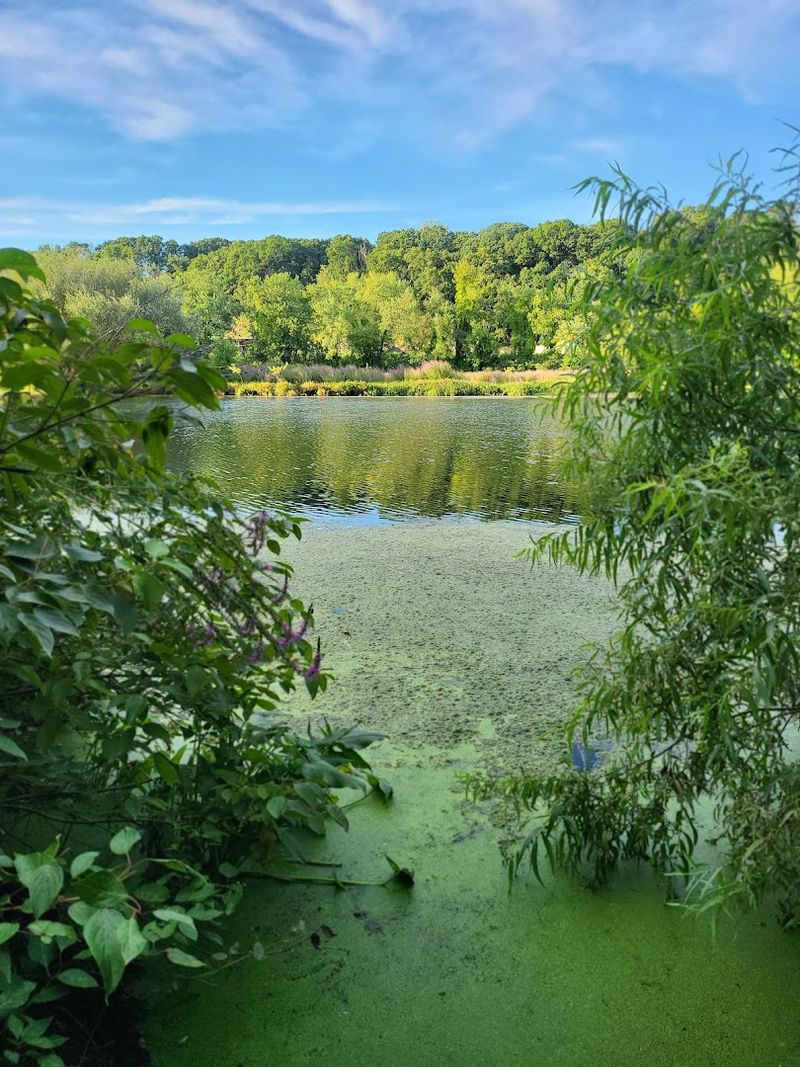 Local Wildlife And Natural Habitats