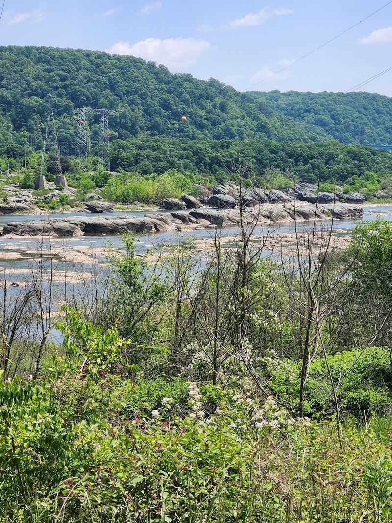 Susquehanna River Views