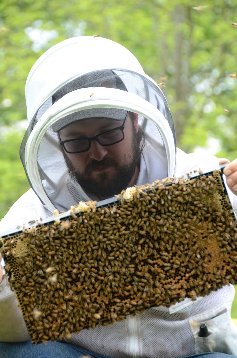 Learn Bee Science