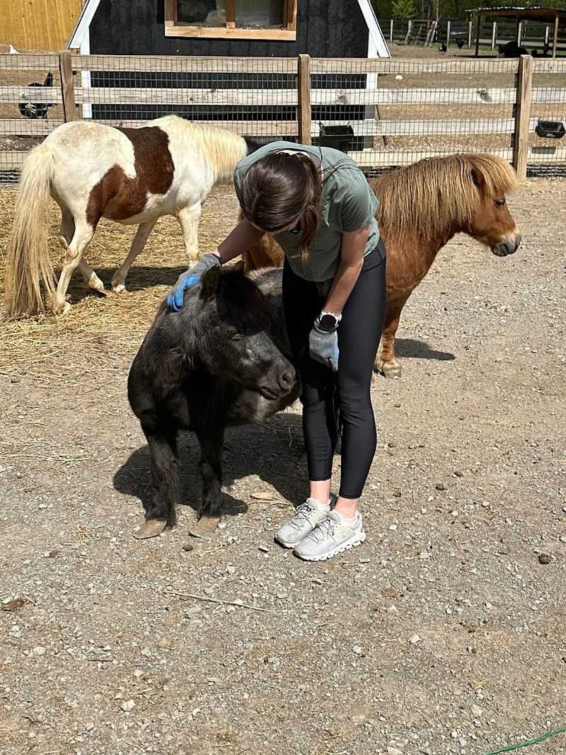 Piccolo Farms Animal Sanctuary, Whites Creek