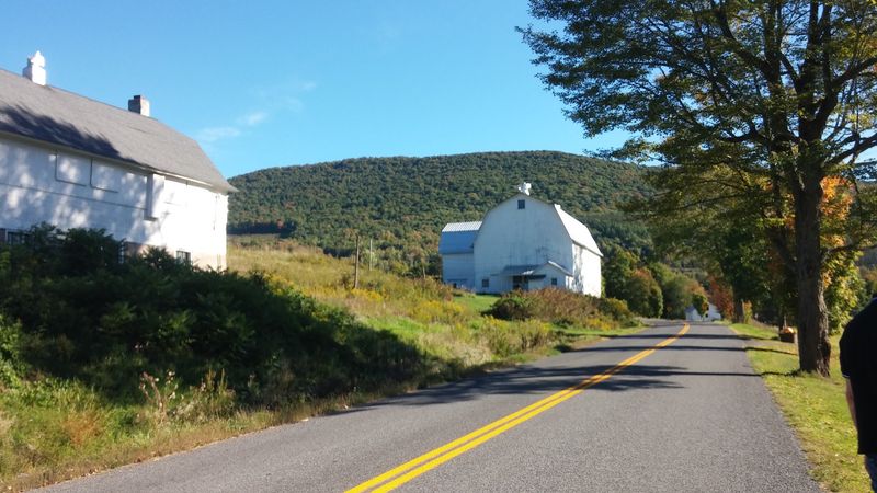 The Catskill Scenic Rail Trail: A Walk Worth Taking