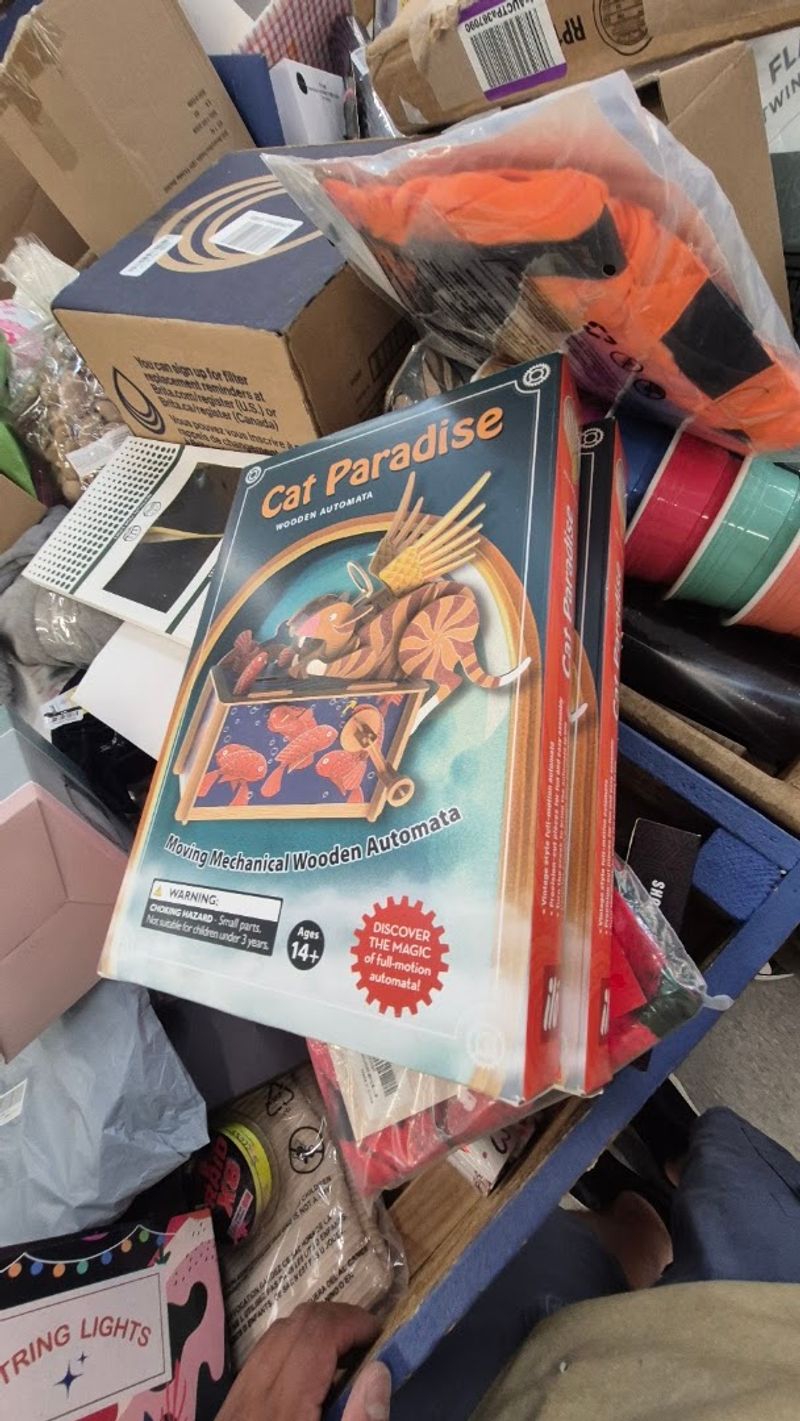 Mystery Boxes Keep Every Visit Wonderfully Unpredictable