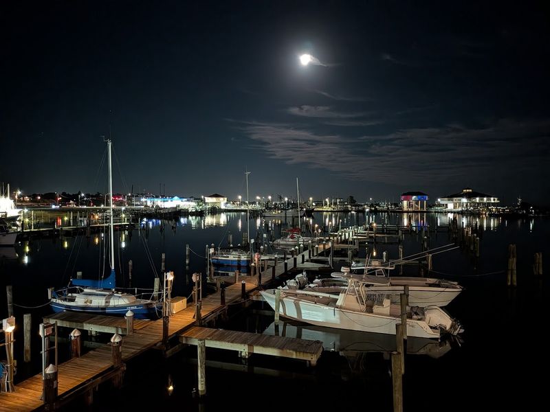 Insights Into Regional Culinary Influences