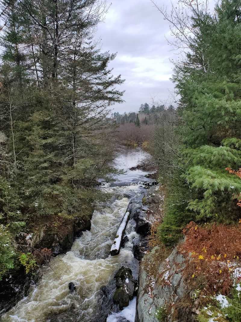 Carney Rapids