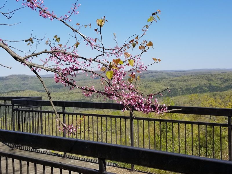 Arkansas River Valley Views