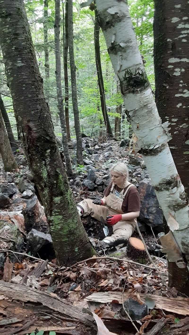The History Behind The Betts Mine Site