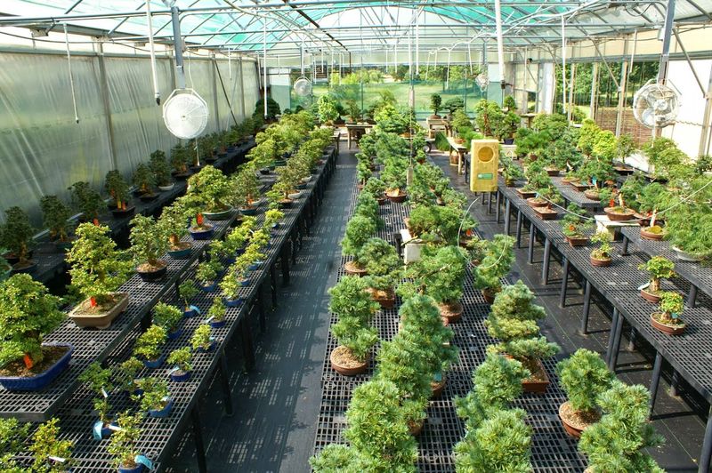 Tips For Caring For Indoor And Outdoor Plants