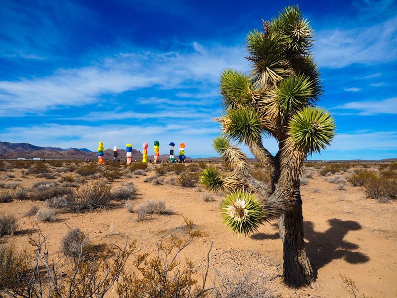 Best Times To Visit For Maximum Impact