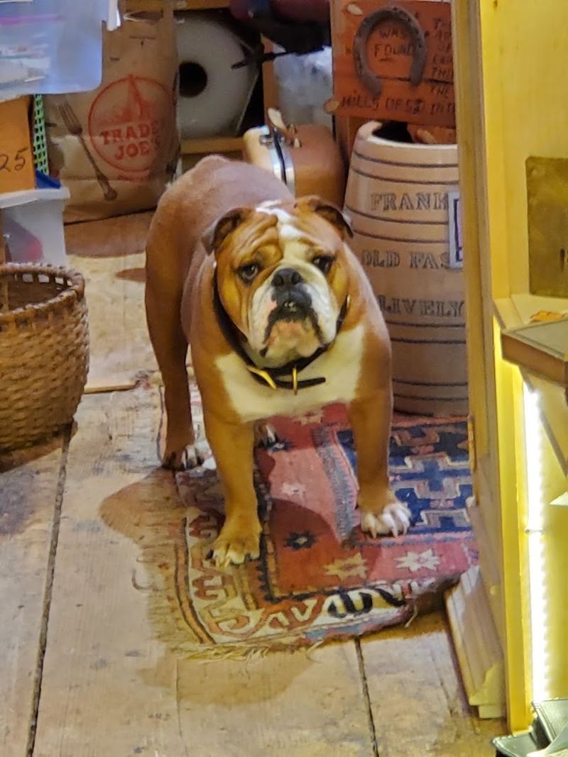Local Artisans And Their Unique Creations At Firebird Farm Antiques