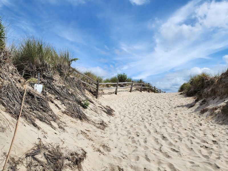 Rules That Protect The Wild Heart Of The Preserve