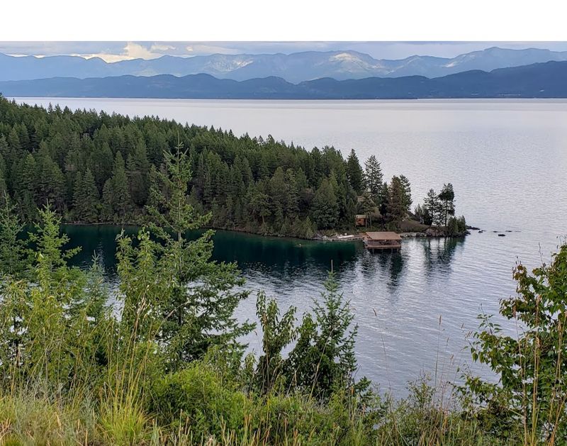 Wildlife And Aquatic Plants In The Area