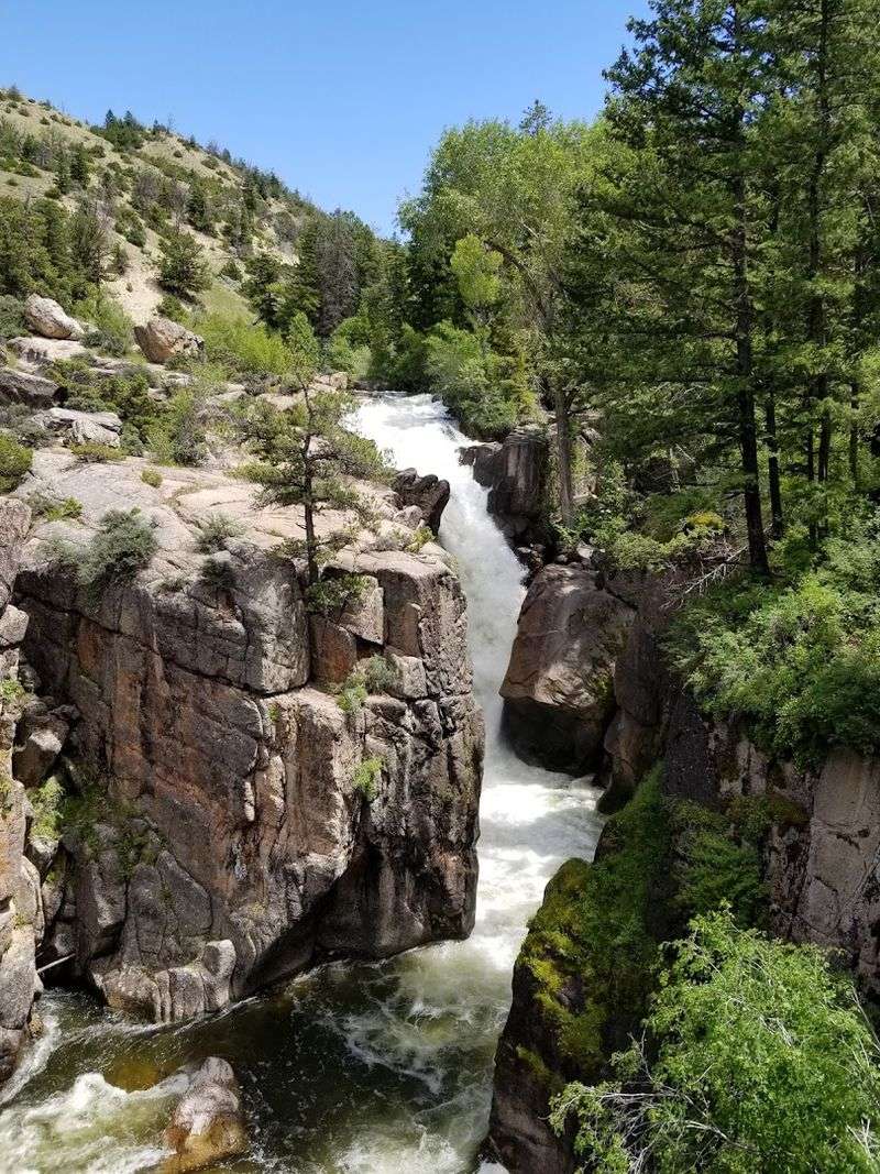 Local Conservation Efforts Protecting Wilderness