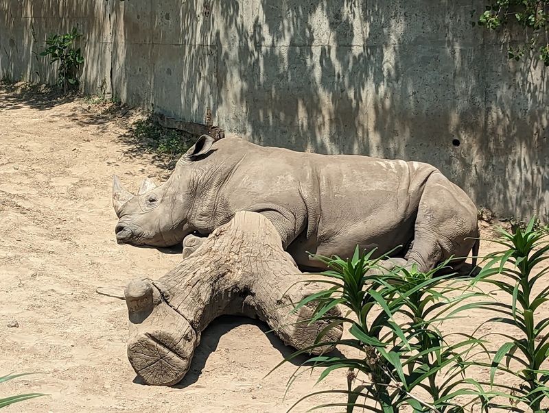 Wildlife Variety That Surprises Even Experienced Zoo-Goers