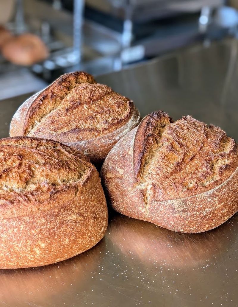 The Importance Of Fermentation Time