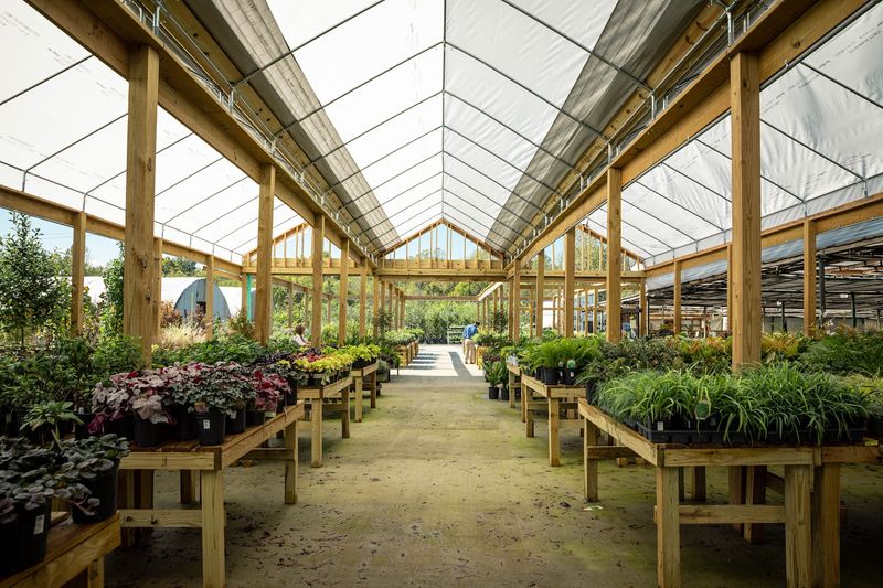 Organic Gardening Tips For Healthy Growth