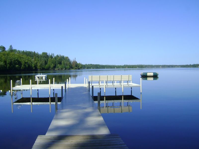 Peaceful Wildlife Encounters Nearby