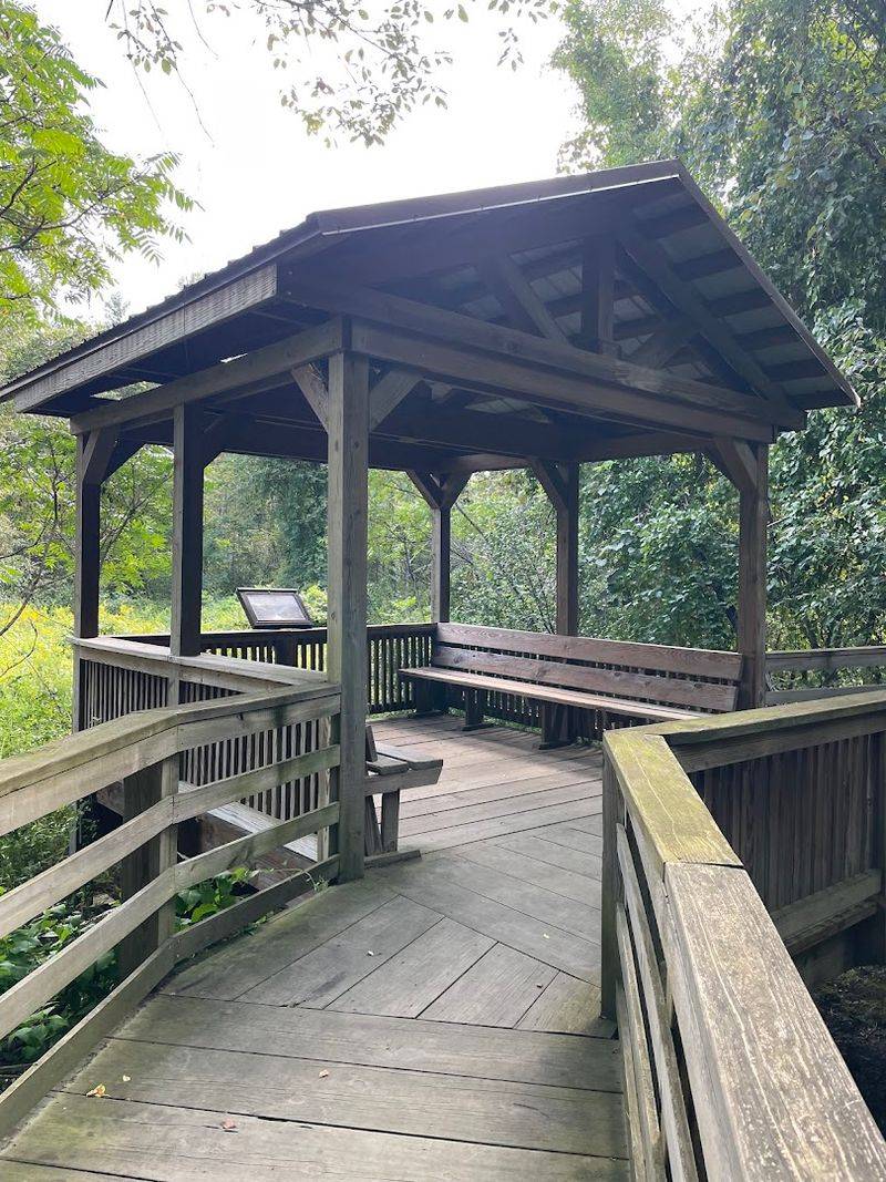 The Perfect Morning Walk Spot