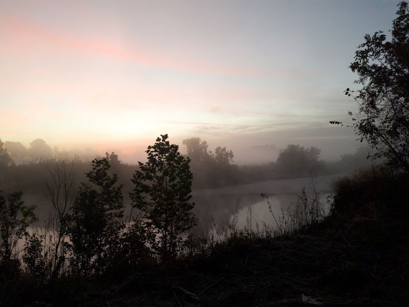 Pearl River Floodplain, South Of Jackson