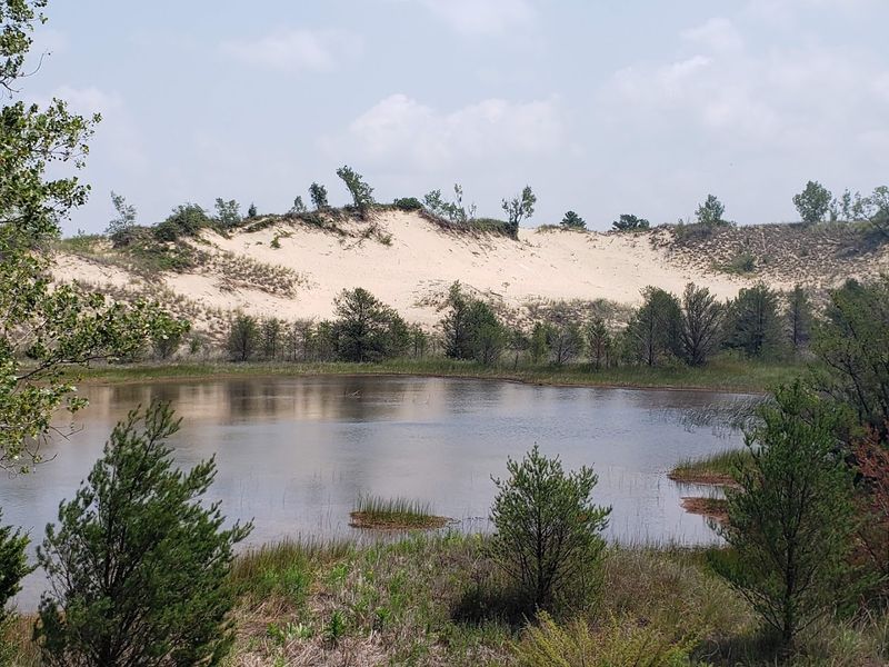 Long Lake Adds Birdwatching And Peaceful Views Beyond The Shore