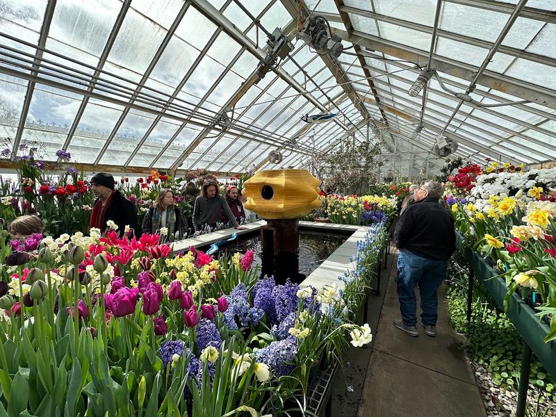 February: The Botanic Garden Of Smith College, Northampton