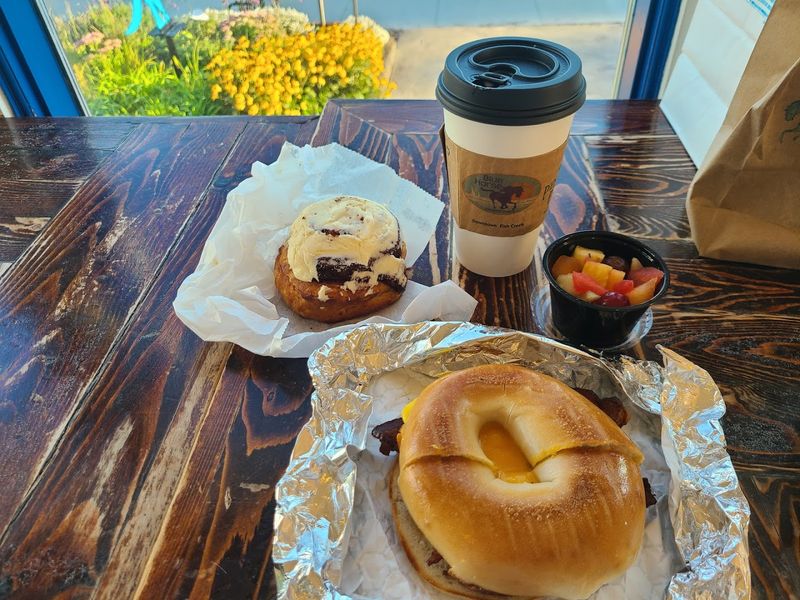 Blue Horse Brings Coffee With A Bay View