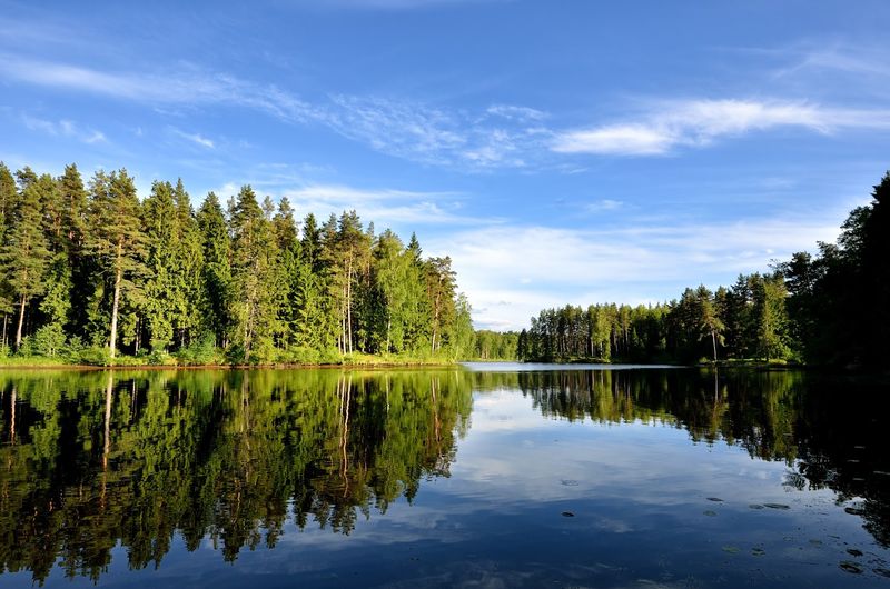 How To Get Here And Stay