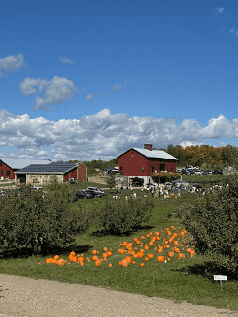 Just 2 Hours From NYC, This 1798 New York Orchard Lets You Pick Fresh ...