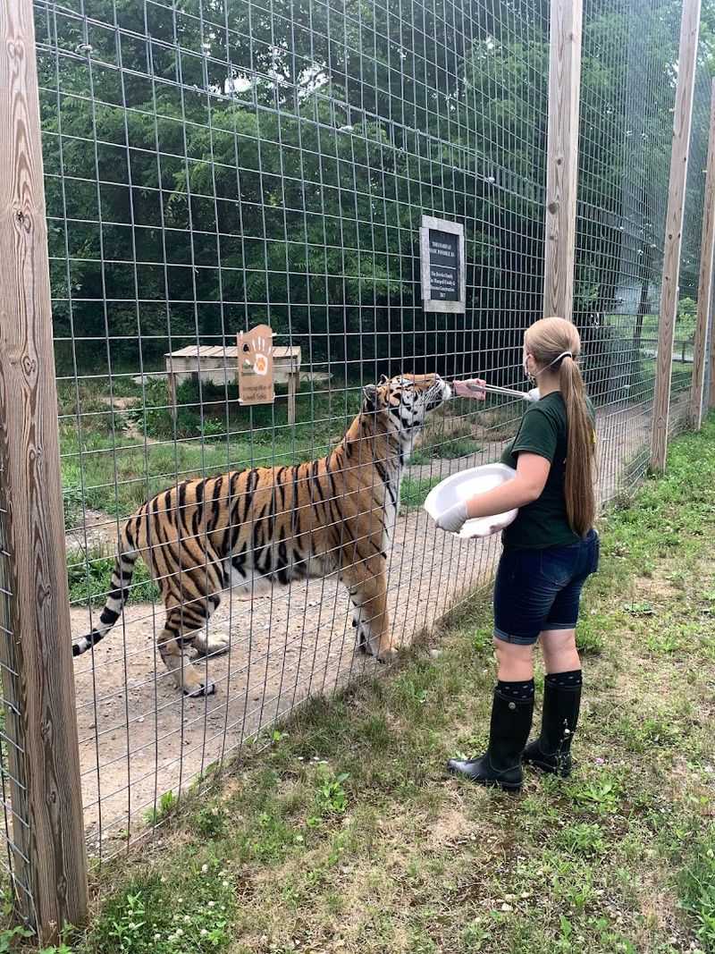 The Story Behind Black Pine Animal Sanctuary