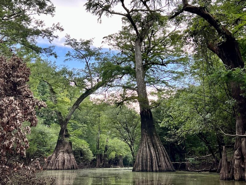 Chemin-A-Haut State Park, Bastrop, Louisiana