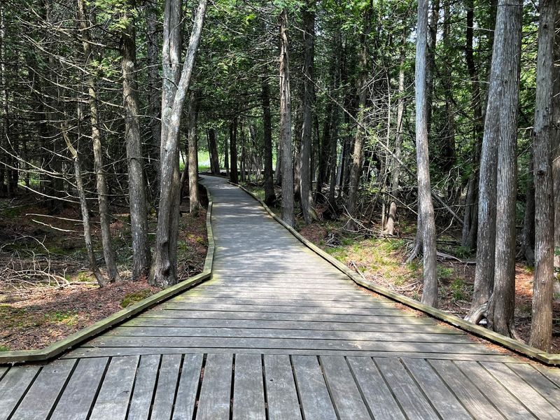The Hidden Brook Boardwalk Runs Nearly A Third Of A Mile