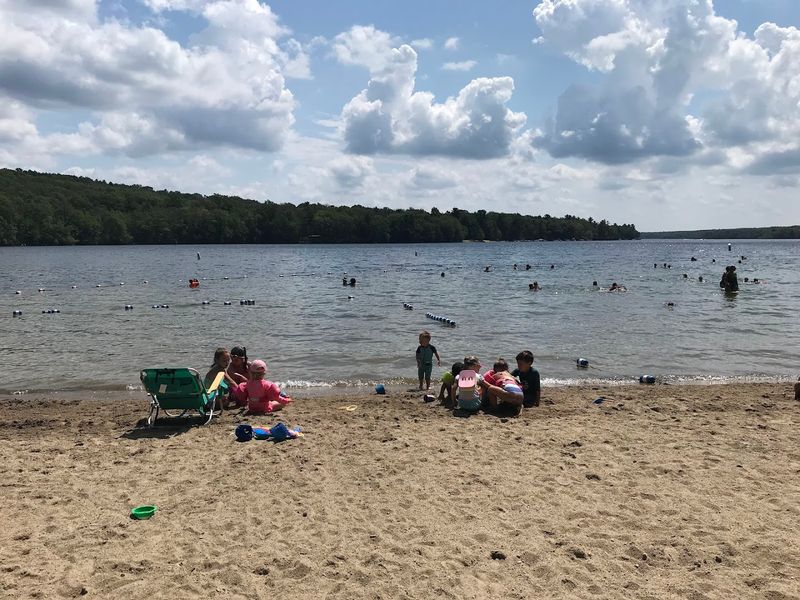 Wallum Lake At Douglas State Forest, Douglas