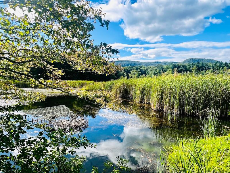 Grand Panoramas Of Berkshire Peaks