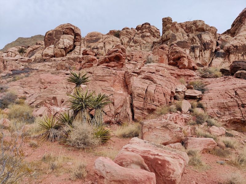 Calico Basin / Kraft Boulders, Las Vegas
