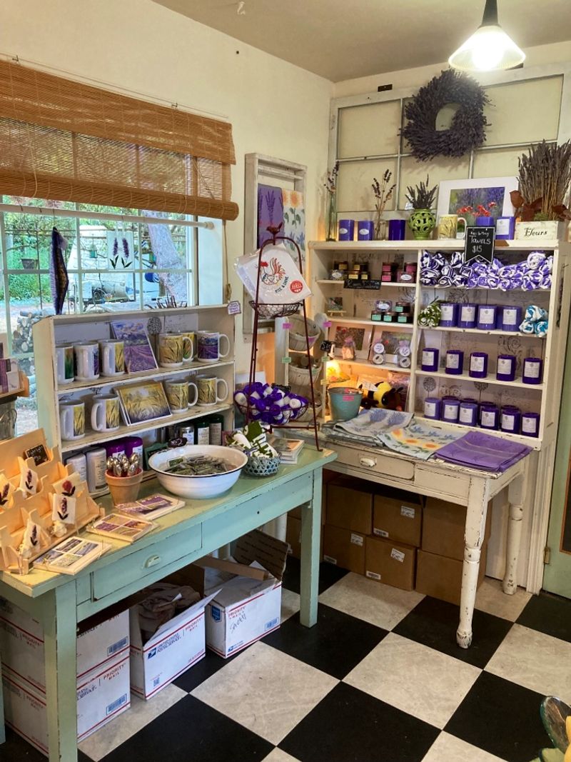 The Gift Shop, Festival Events, and Reasons to Return