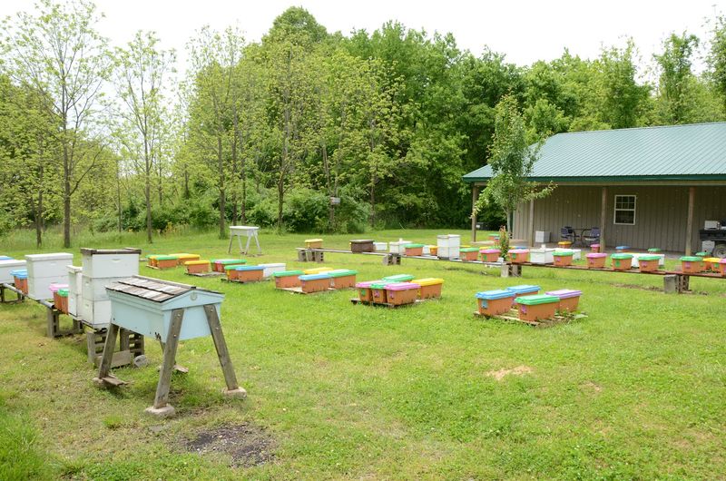 A Farm Since 2012