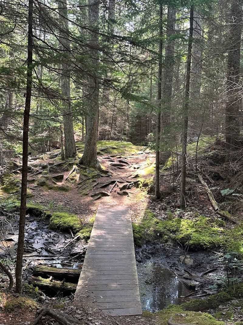 Twelve Miles Of Trails Between Forest And Cliff
