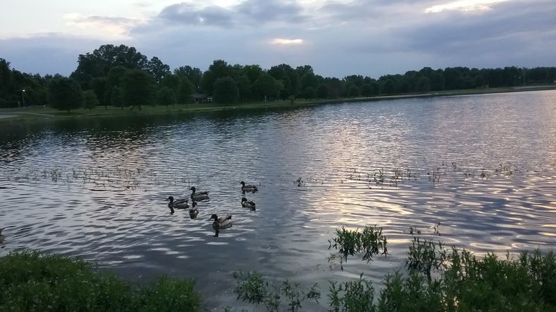 Where Water Meets Wilderness