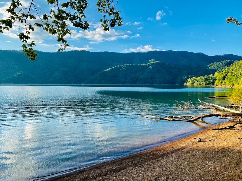 Watauga Lake
