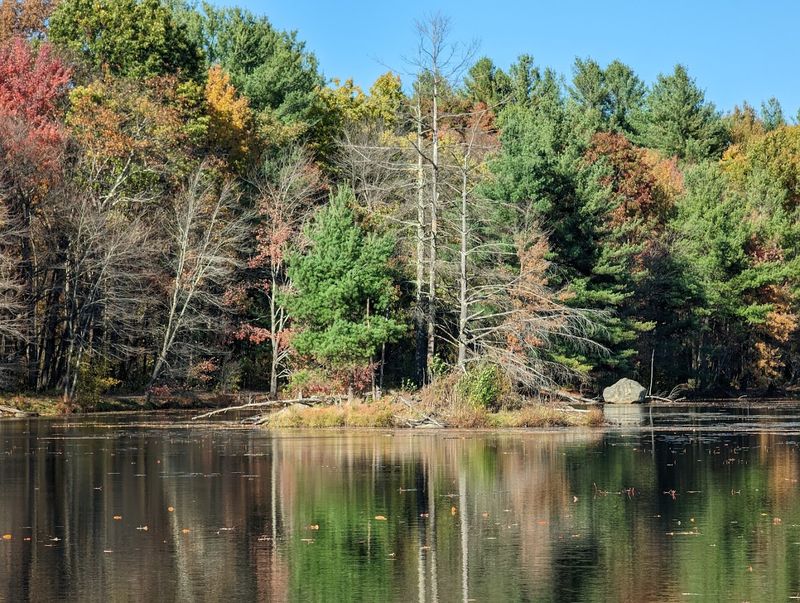 Bowers Springs Conservation Area