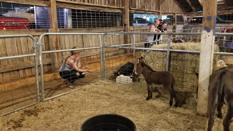 Inspiring The Next Generation Of Fair Participants