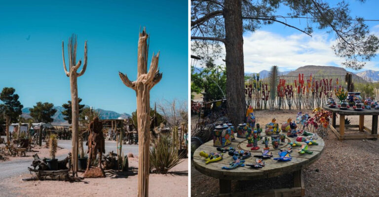 Load Up A Cart With $45 Worth Of Plants At This Massive Nevada Garden Center