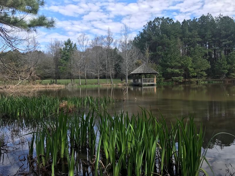 Natural Landscapes Along The River