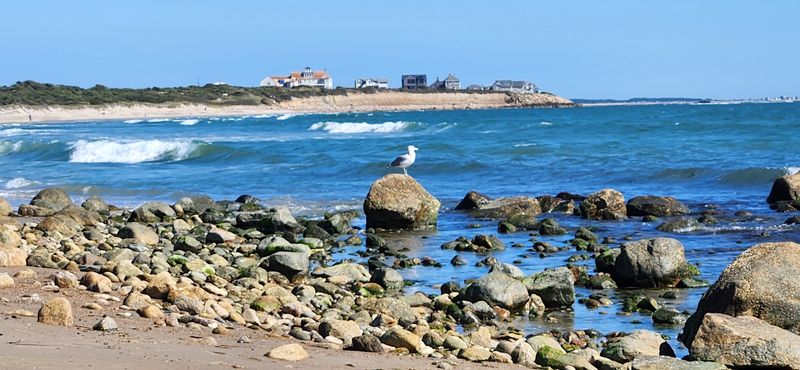 Impact Of Tides On Coastal Geography And Wildlife
