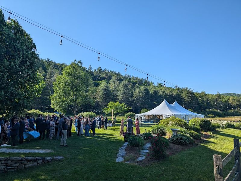 Community Events That Celebrate Local Culture