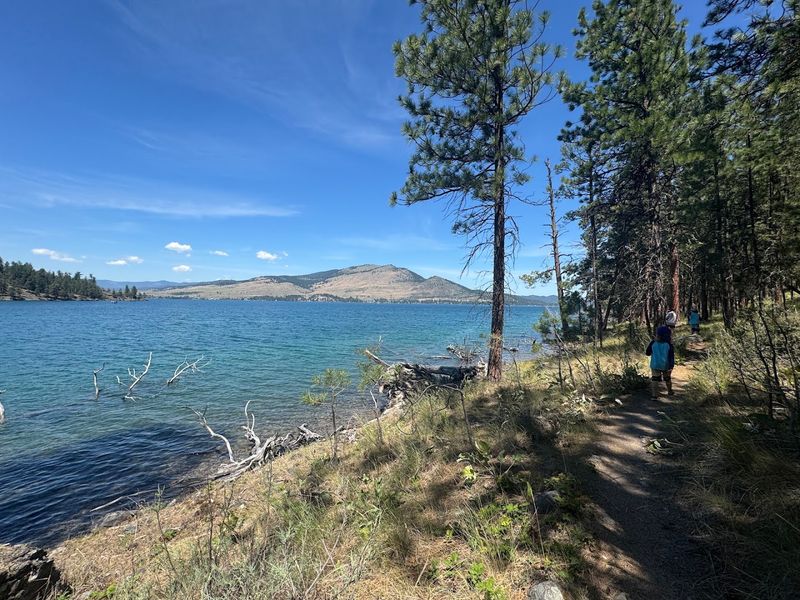 Nearby Trail Options For Post Swim Exploration