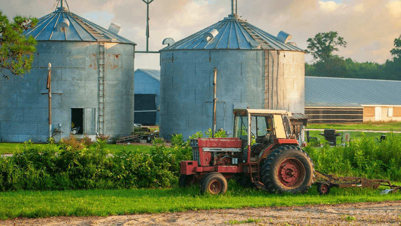 Organic Farming Practices That Sustain The Soil